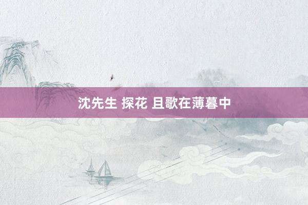 沈先生 探花 且歌在薄暮中
