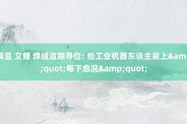 麻豆 艾鲤 焊缝追踪寻位: 给工业机器东谈主装上&quot;每下愈况&quot;