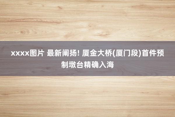 xxxx图片 最新阐扬! 厦金大桥(厦门段)首件预制墩台精确入海