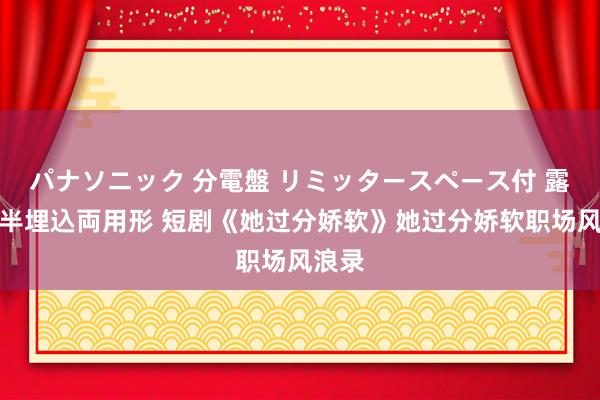 パナソニック 分電盤 リミッタースペース付 露出・半埋込両用形 短剧《她过分娇软》她过分娇软职场风浪录