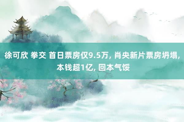 徐可欣 拳交 首日票房仅9.5万， 肖央新片票房坍塌， 本钱超1亿， 回本气馁
